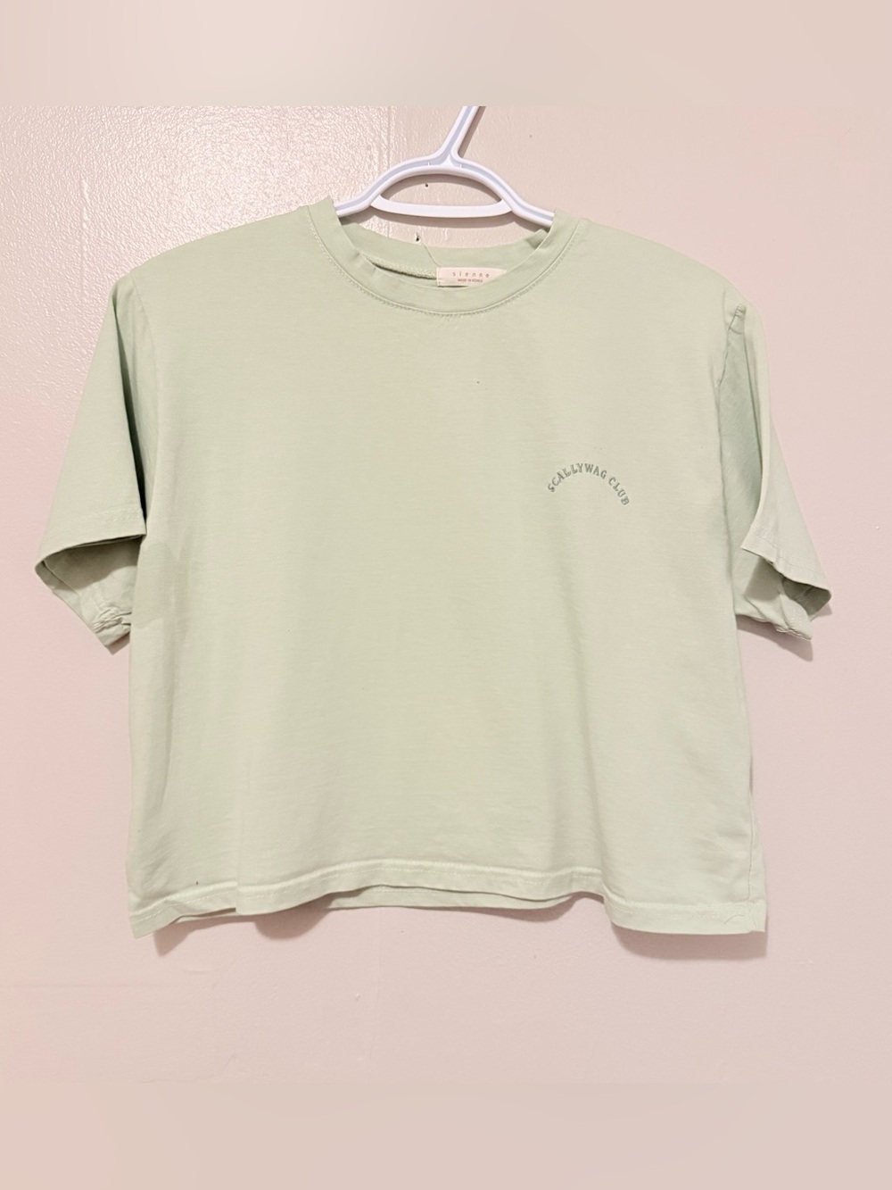 Light Sage Minimal Crop Graphic Tee